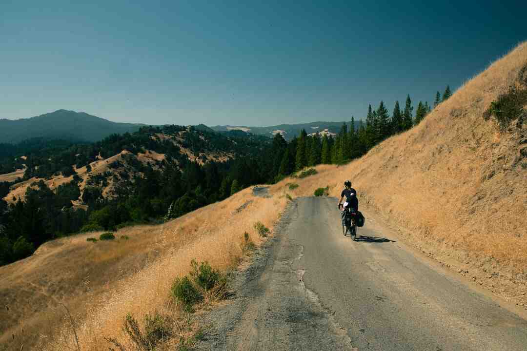 Can u romance in Lost Ark?