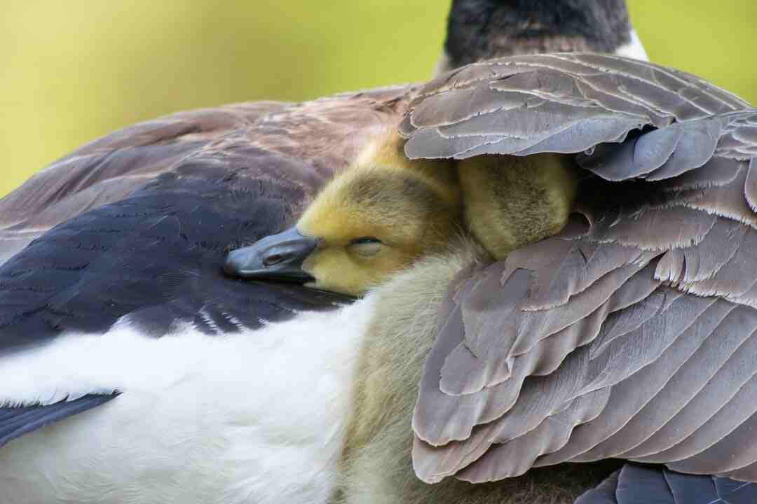 Comment changer sa localisation de pays ?