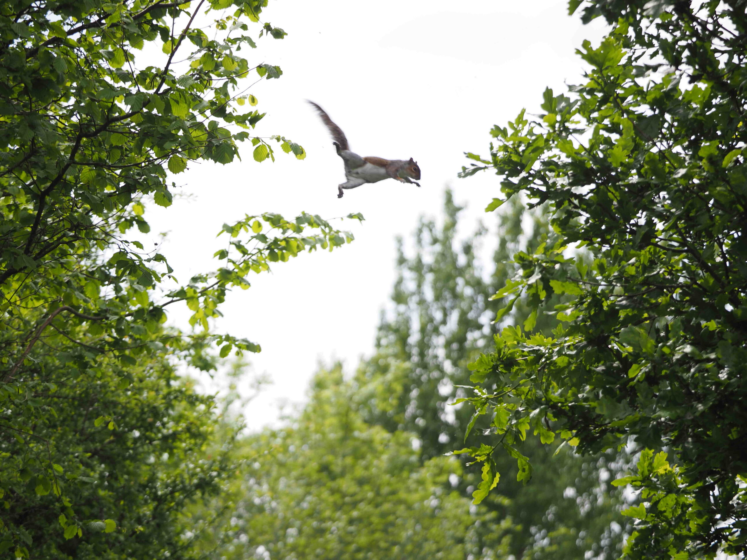 Comment obliger à dormir sur le dos ?
