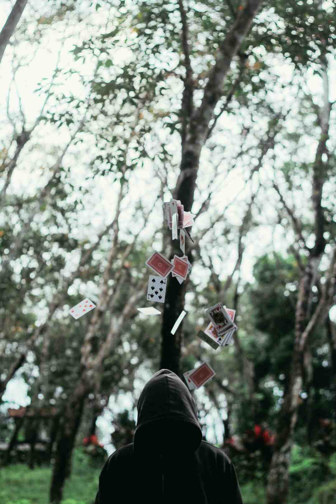 Comment savoir si sa carte ASTUCE est valide ?