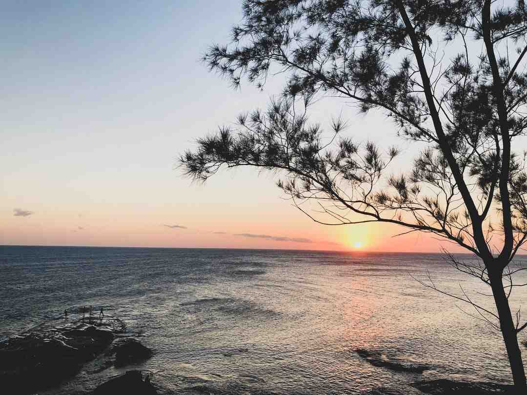 Où faire sa carte de bus Marseille ?