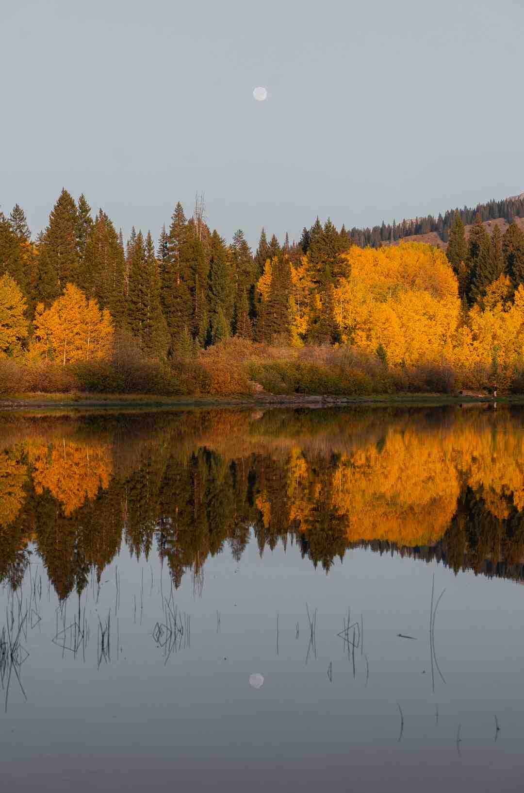 Can you play na Lost Ark from Korea?