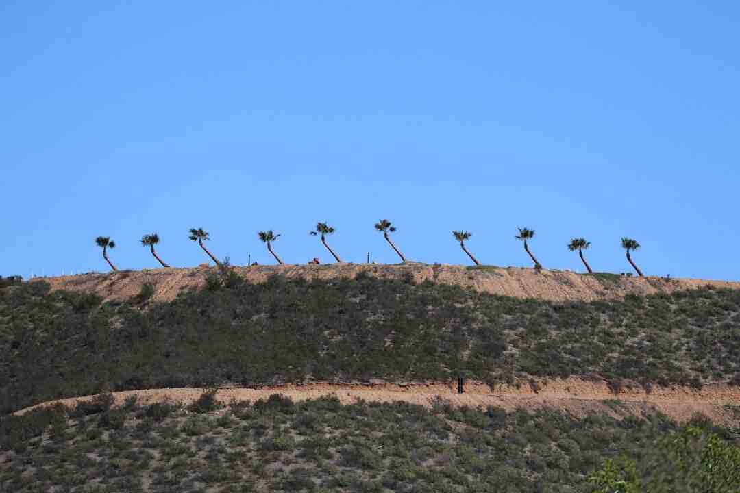 Comment accélérer la guérison d'une entorse ?