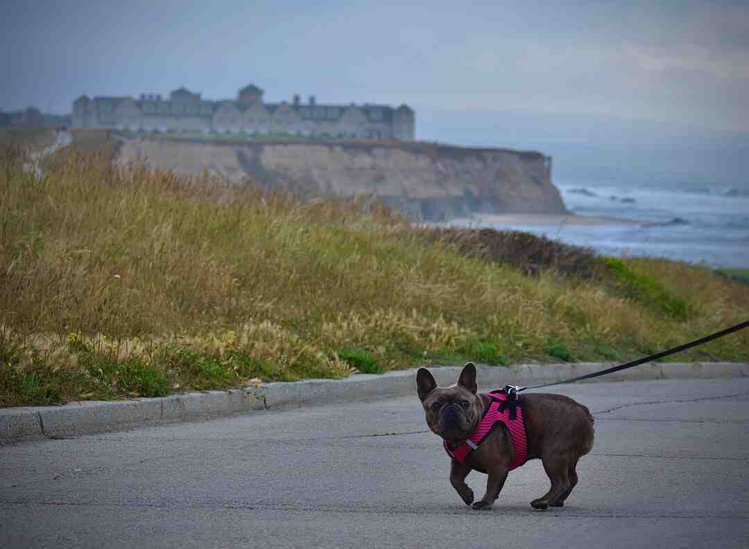 Comment activer le Front Assist Volkswagen ?