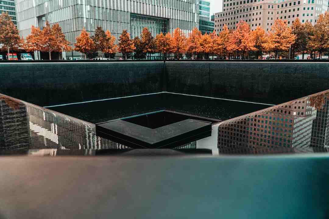 Comment aider les pollinisateurs ?