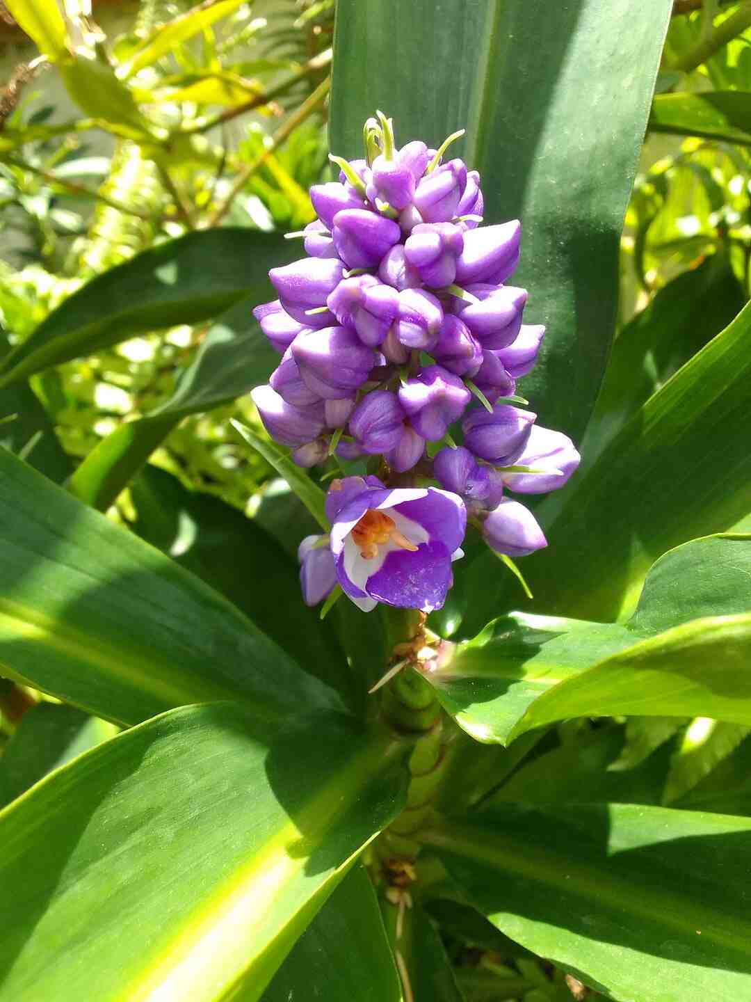 Comment assainir de la terre ?