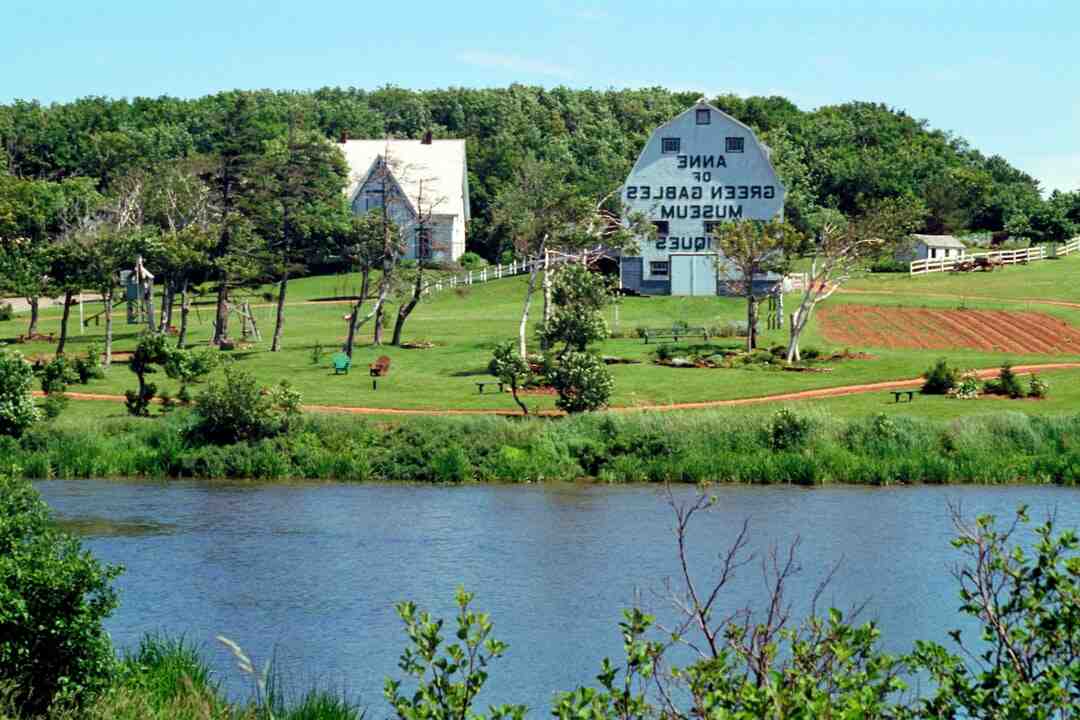 Comment avoir des tours illimités sur Coin Master ?