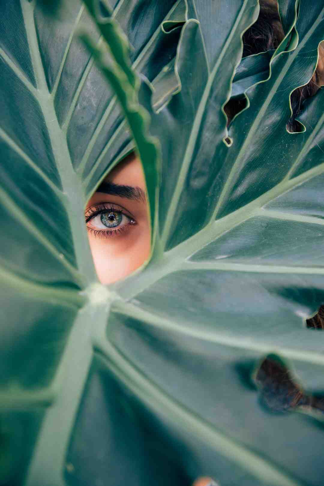 Comment avoir les cheveux doux et soyeux naturellement ?