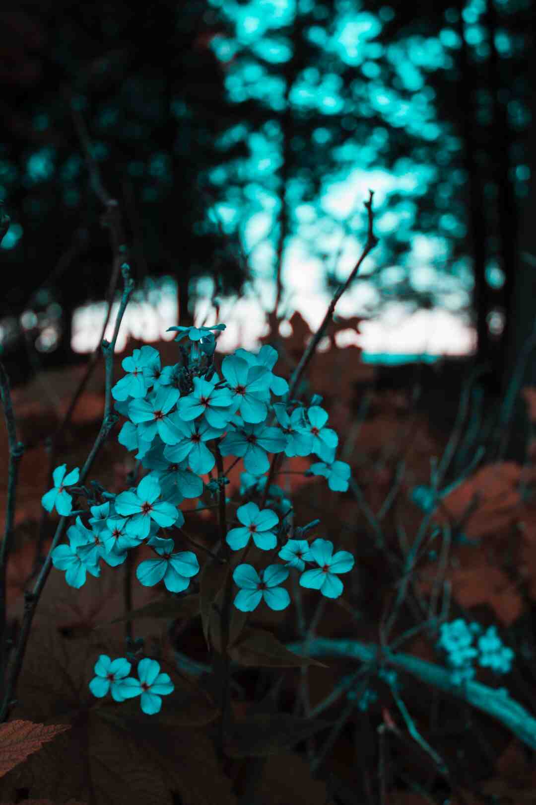 Comment avoir un beau intérieur ?