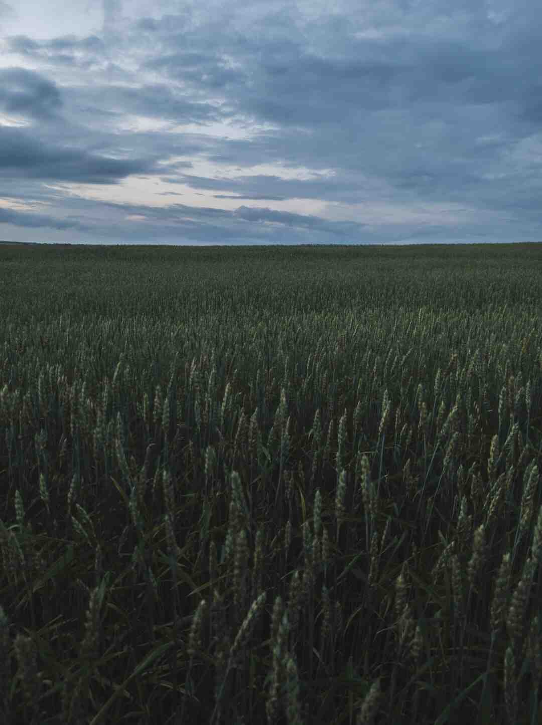 Comment avoir une peau parfaite en 1 semaine ?