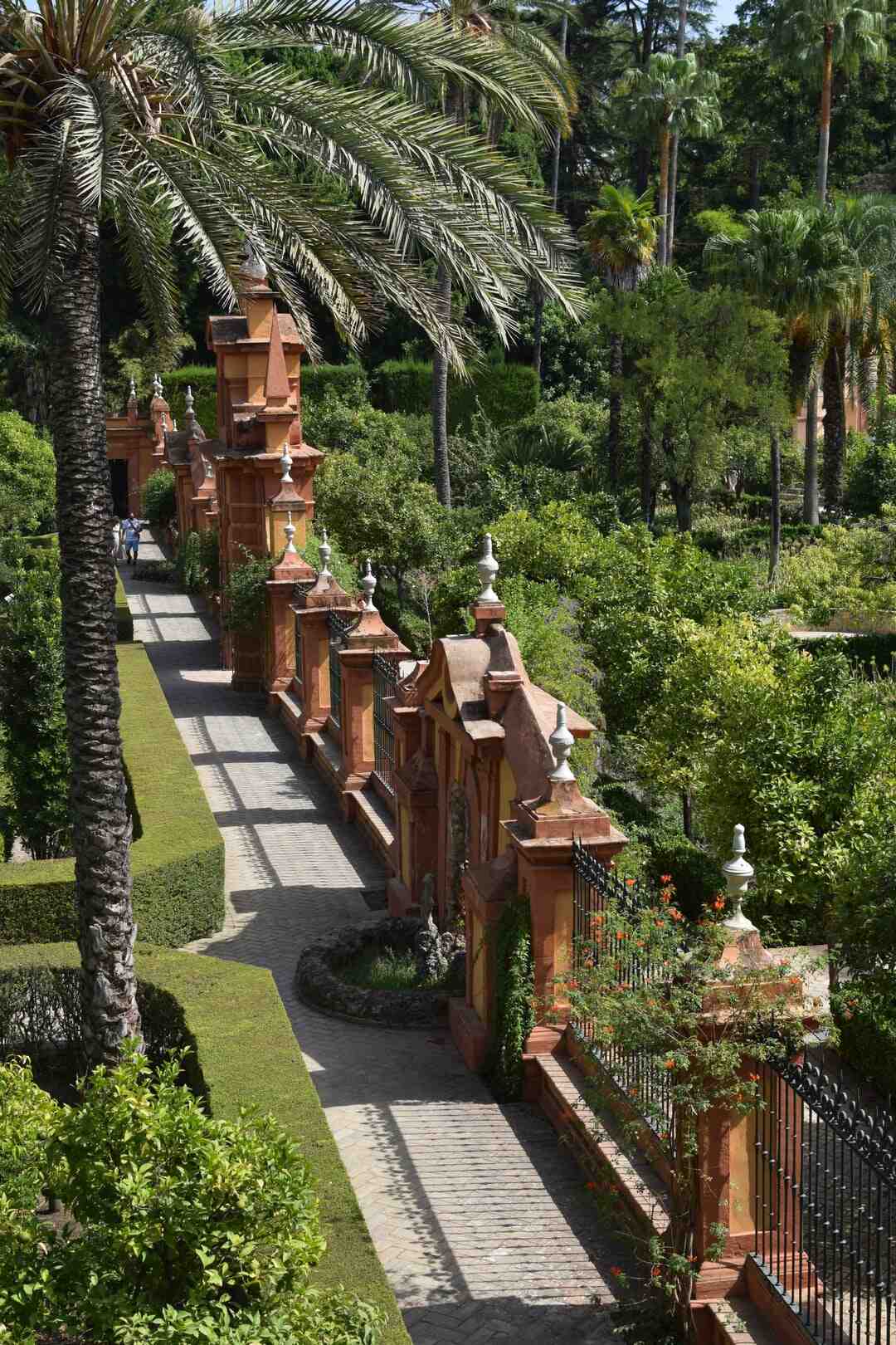 Comment bien laver les pommes de terre ?