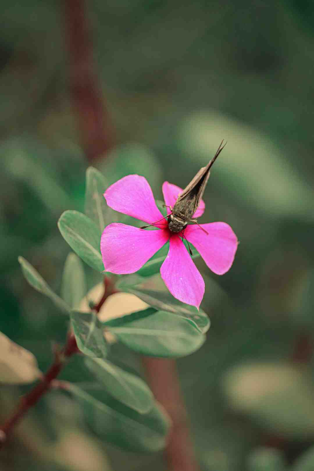 Comment choisir un bon matelas ferme ?