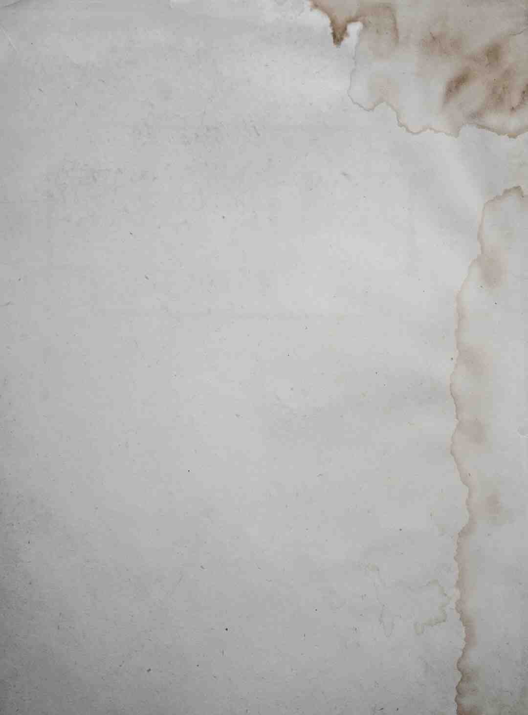 Comment détacher le fond des toilettes ?