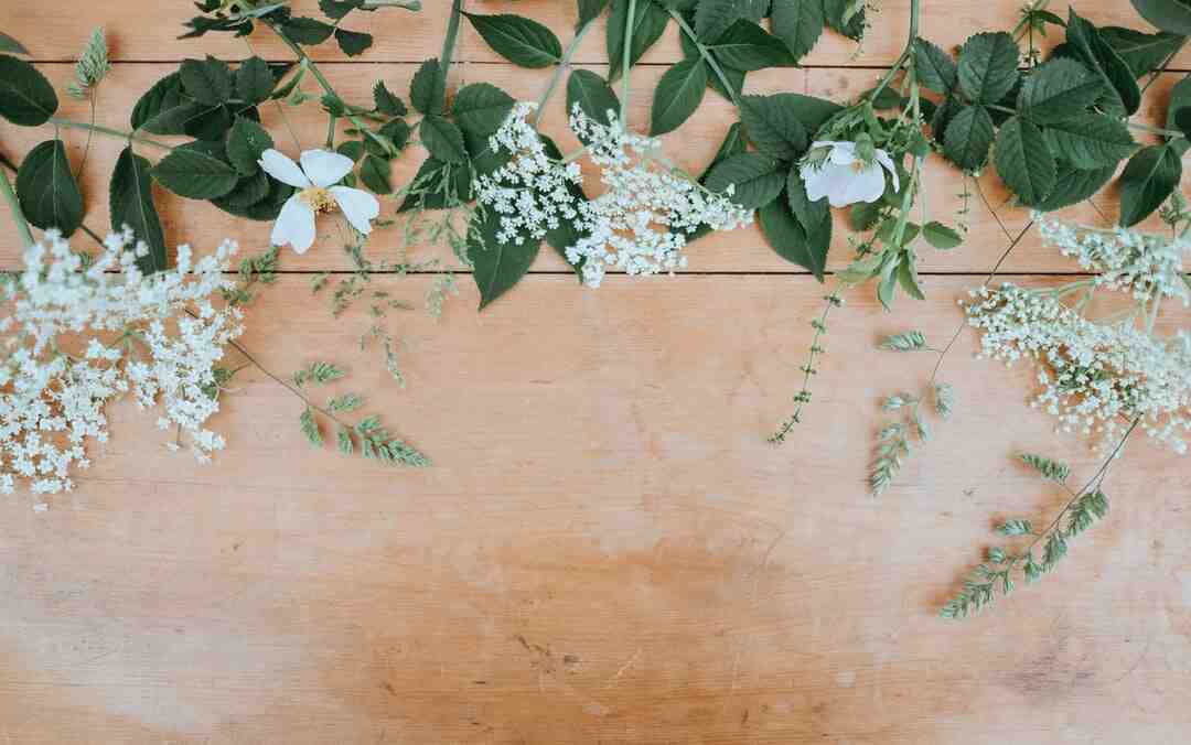 Comment dire joyeux anniversaire à une amie ?