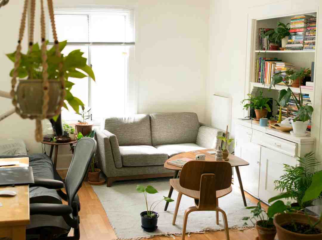 Comment disposer des plantes dans un jardin ?