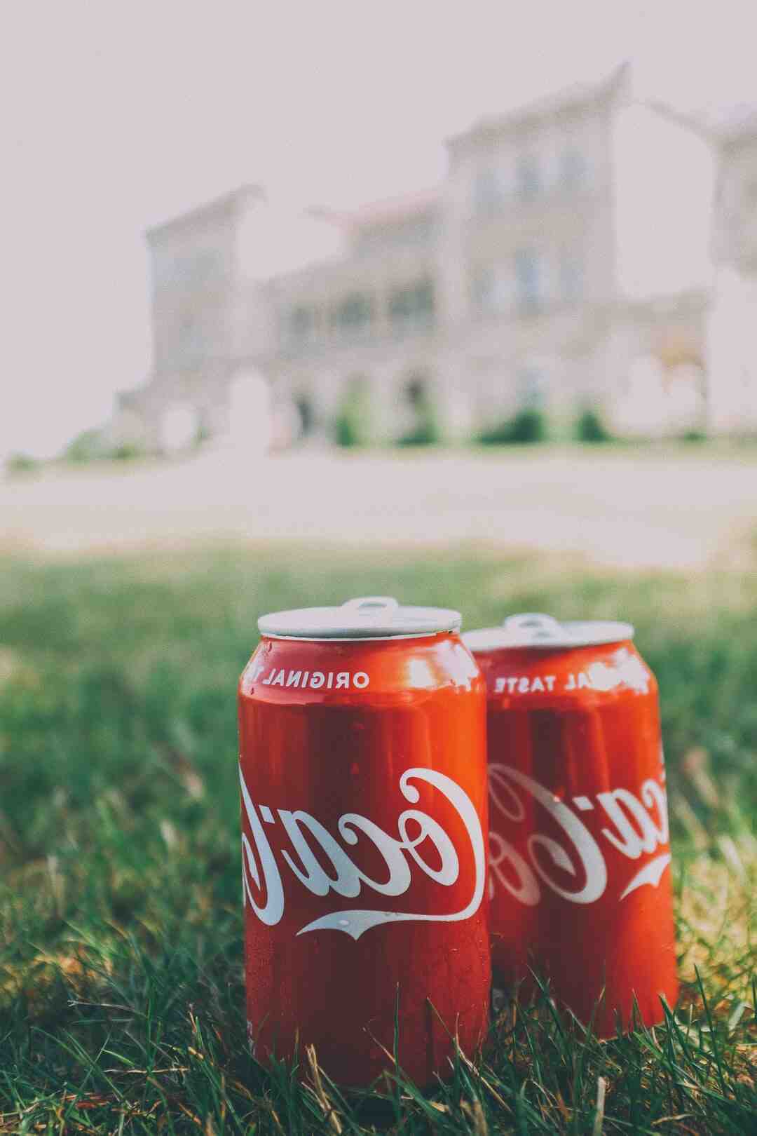 Comment égayer sa maison ?