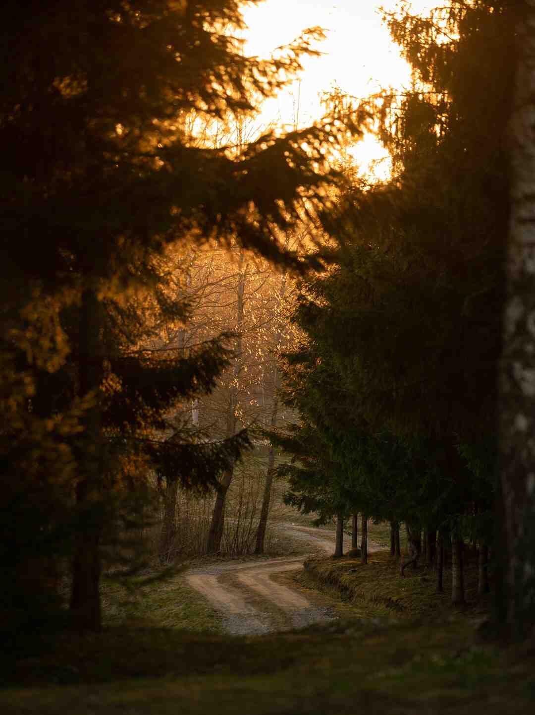 Comment faire bouillir de l'eau 7 Days to Die ?