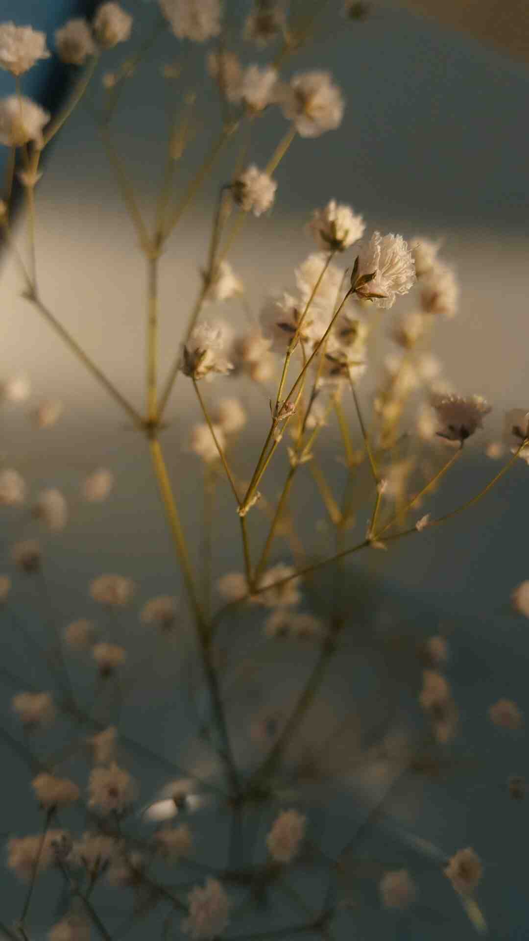 Comment faire couper copier coller avec le clavier ?