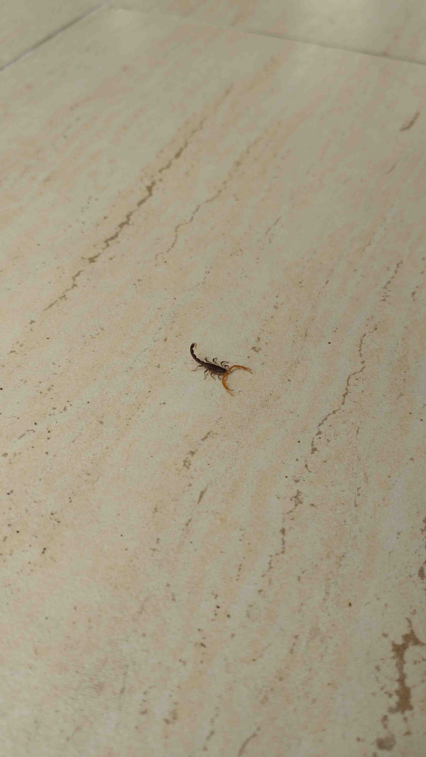 Comment faire encore plus d'économies ?