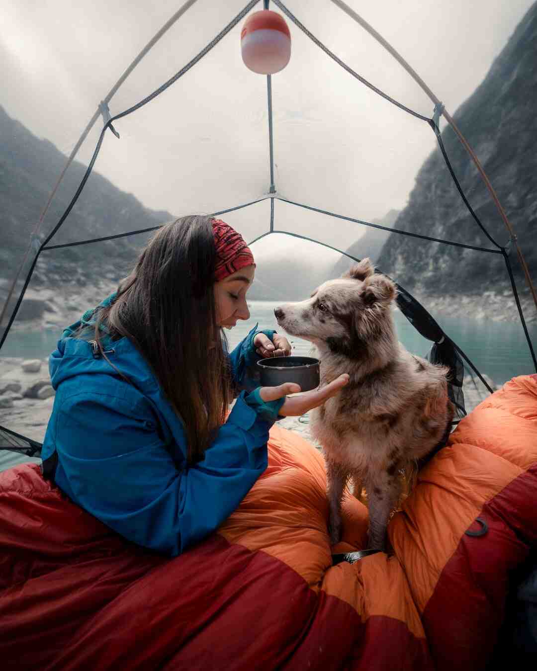 Comment faire pour dormir dehors ?