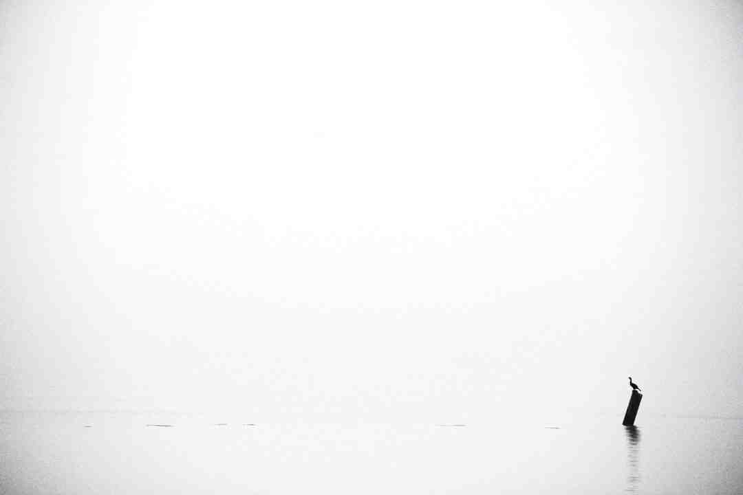 Comment faire pour faire revenir du linge blanc ?