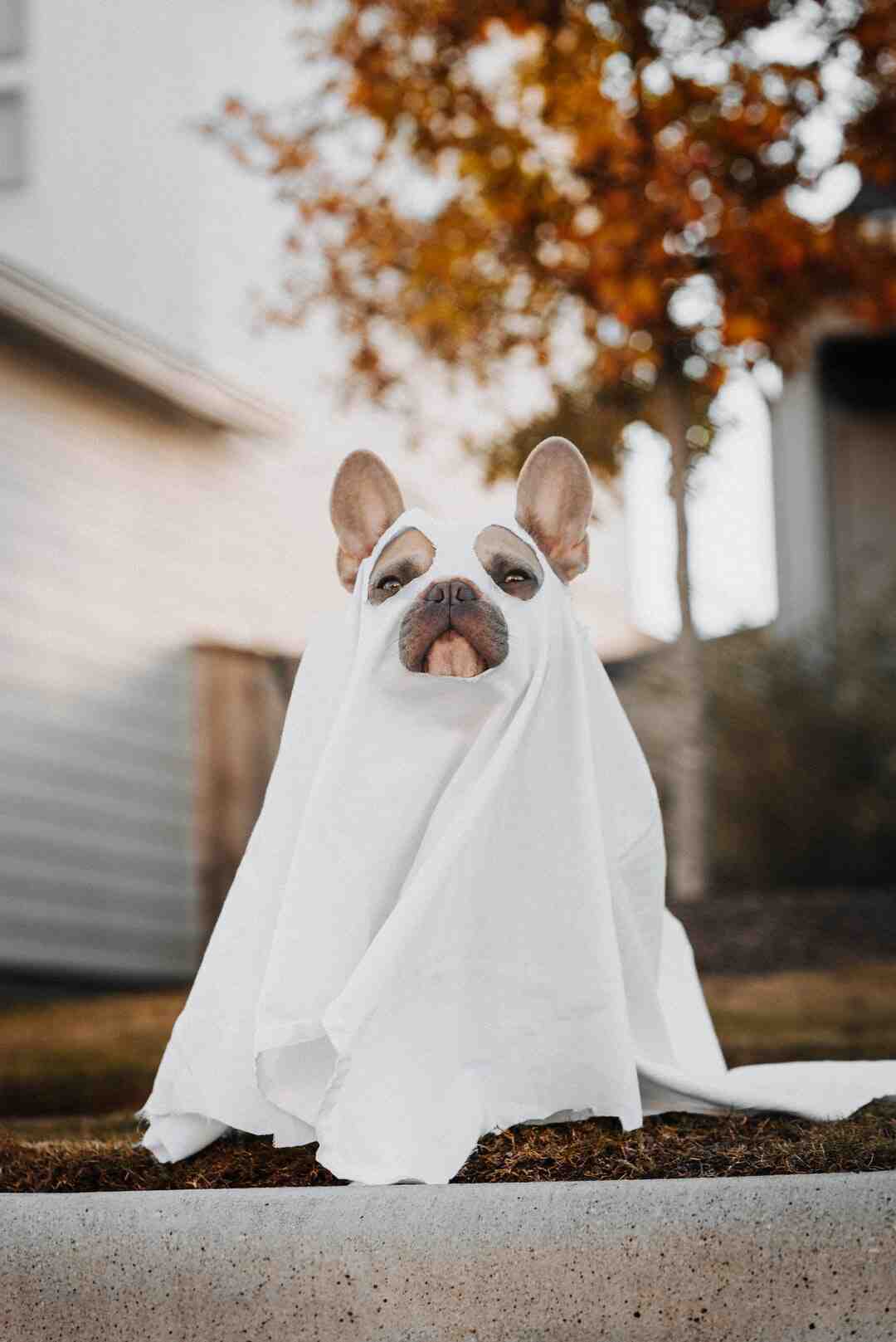 Comment faire pour que les frites ne noircissent pas ?