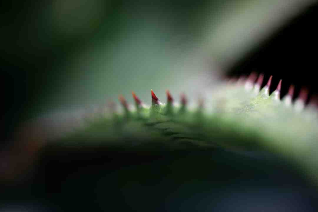 Comment faire un bon gommage à la maison ?