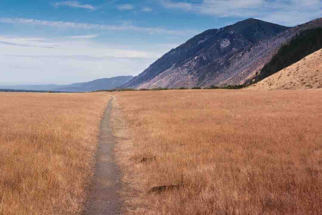 Comment fonctionne les gemmes Lost Ark ?