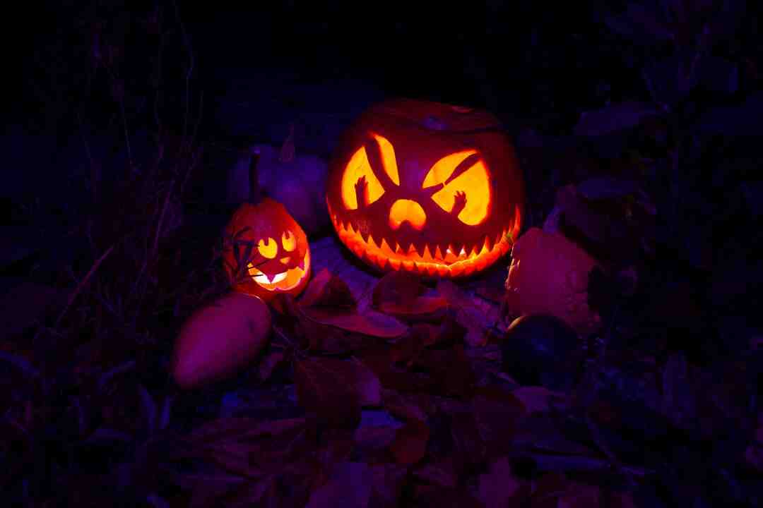 Comment identifier les sols pauvres ?