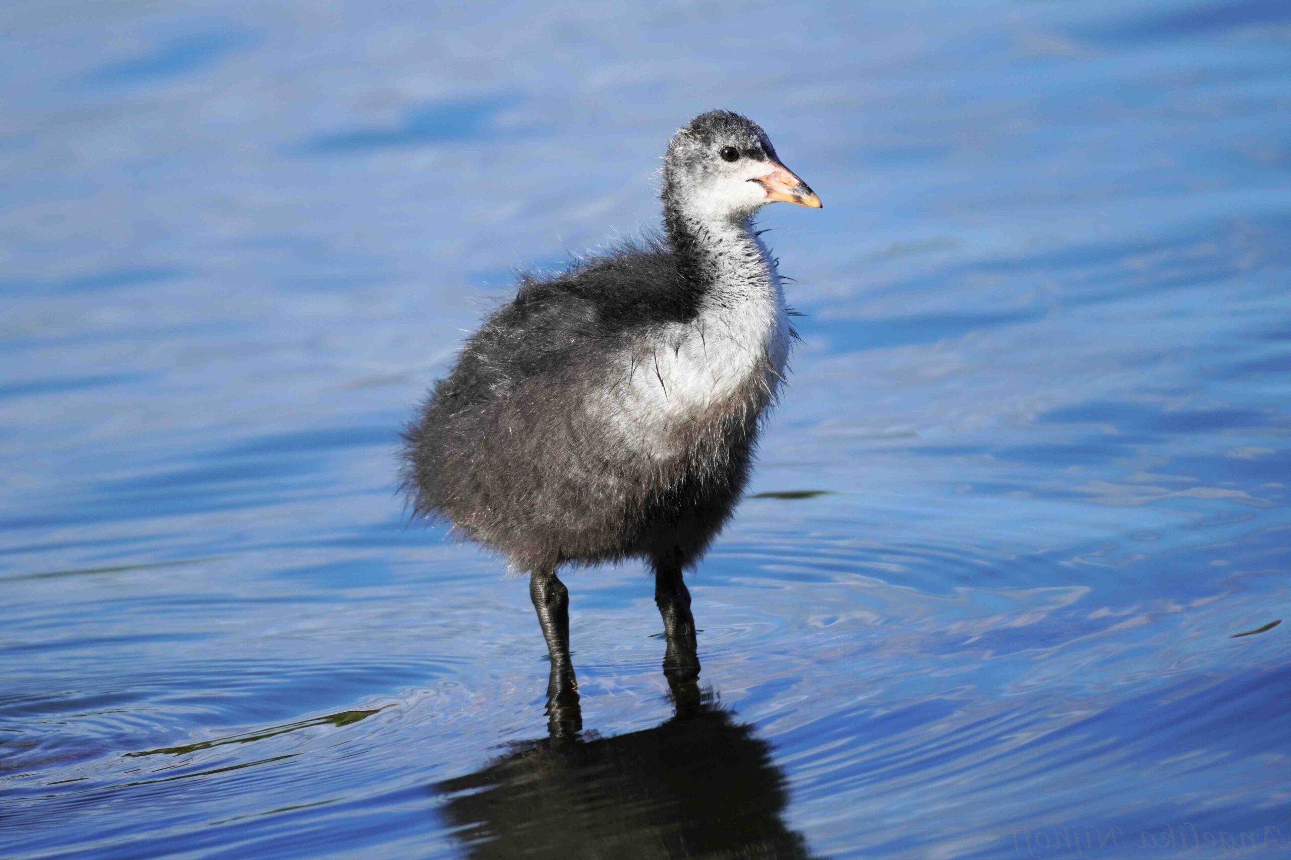 Comment imiter la lumière du jour ?