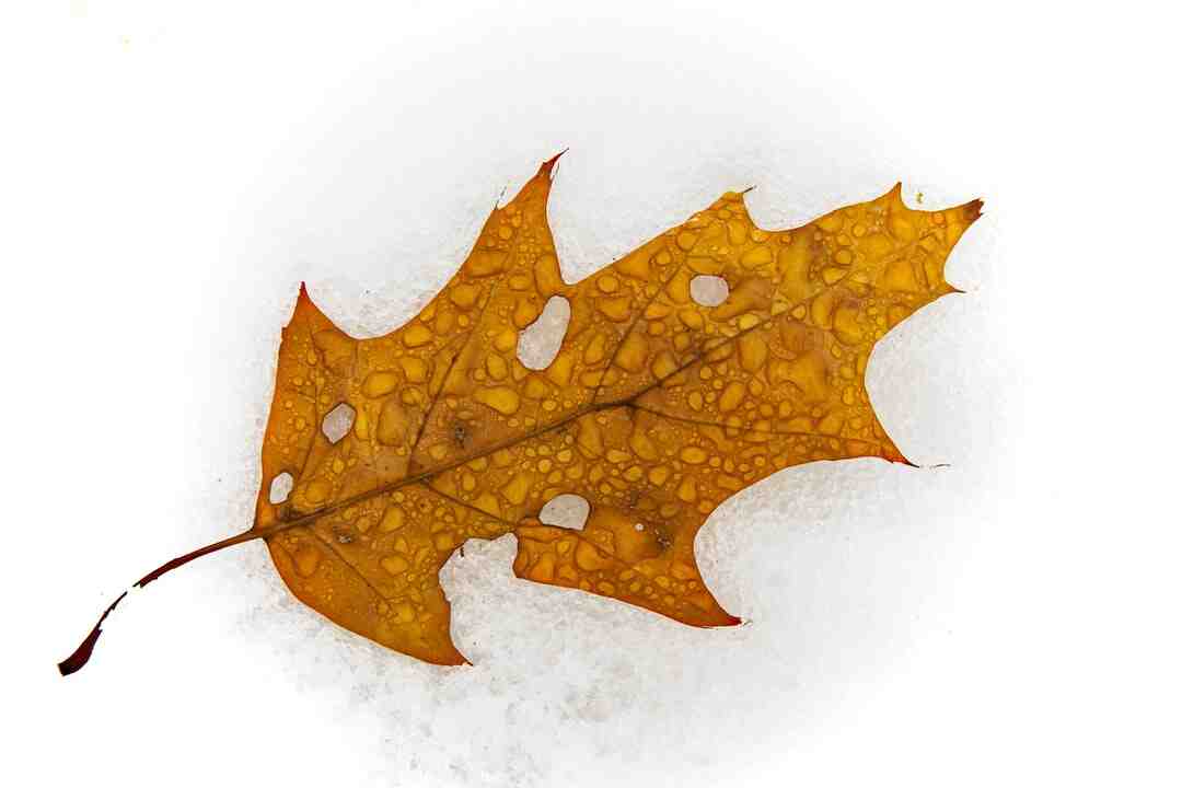 Comment jouer à deux sur Halo Infinite ?