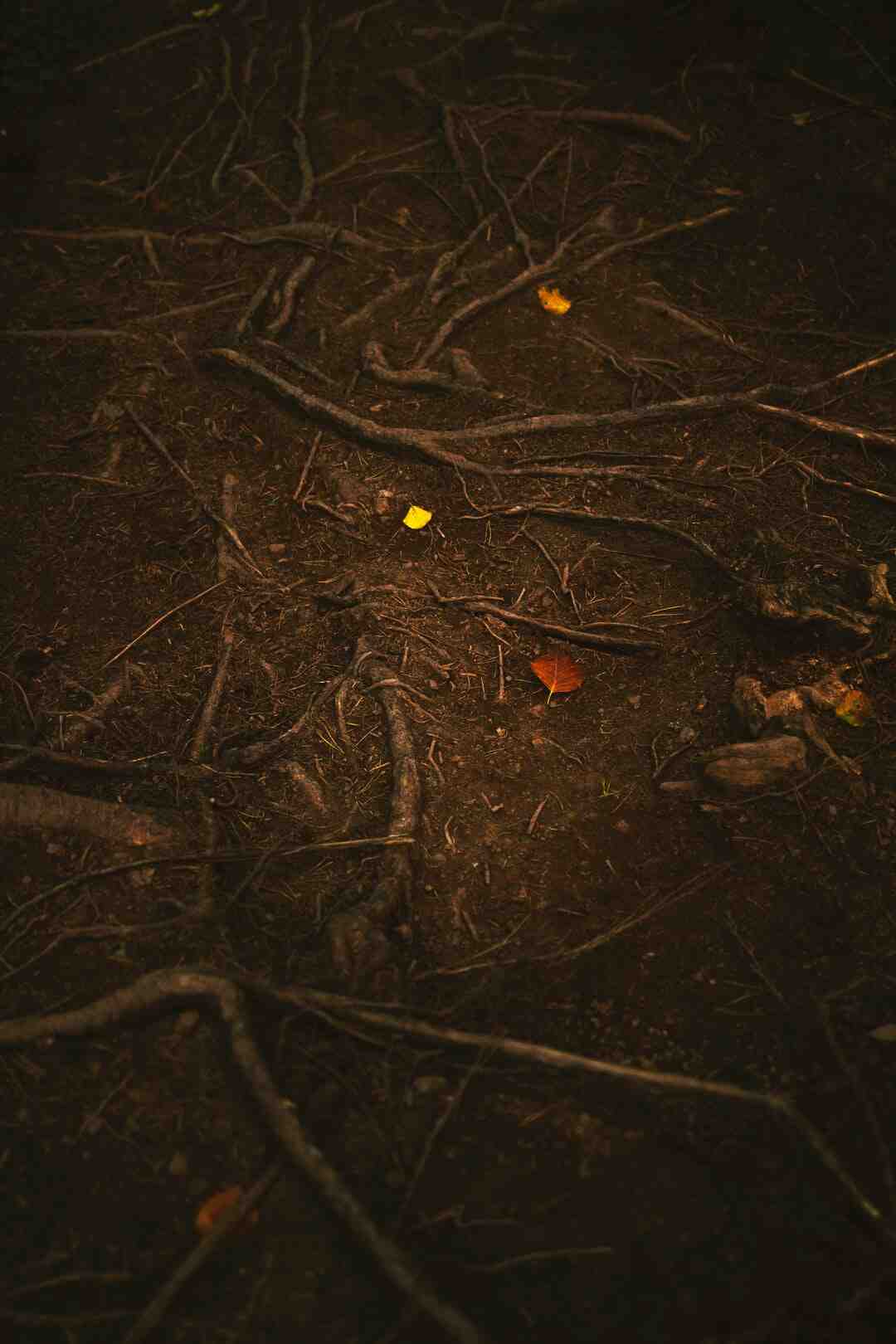 Comment la peau se salit elle ?