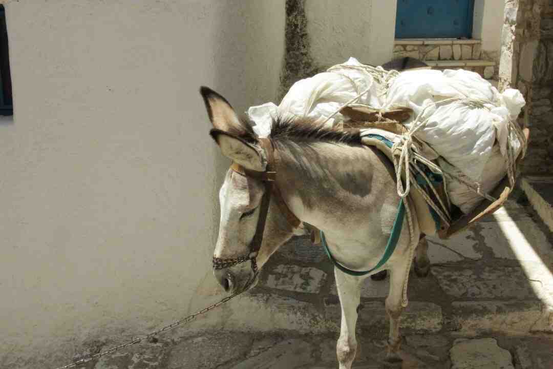 Comment manger quand on a rien ?