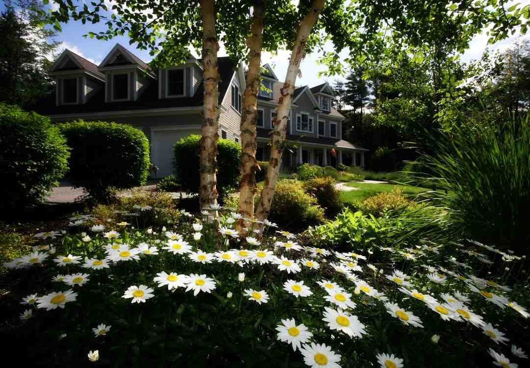 Comment nettoyer la terre du jardin ?