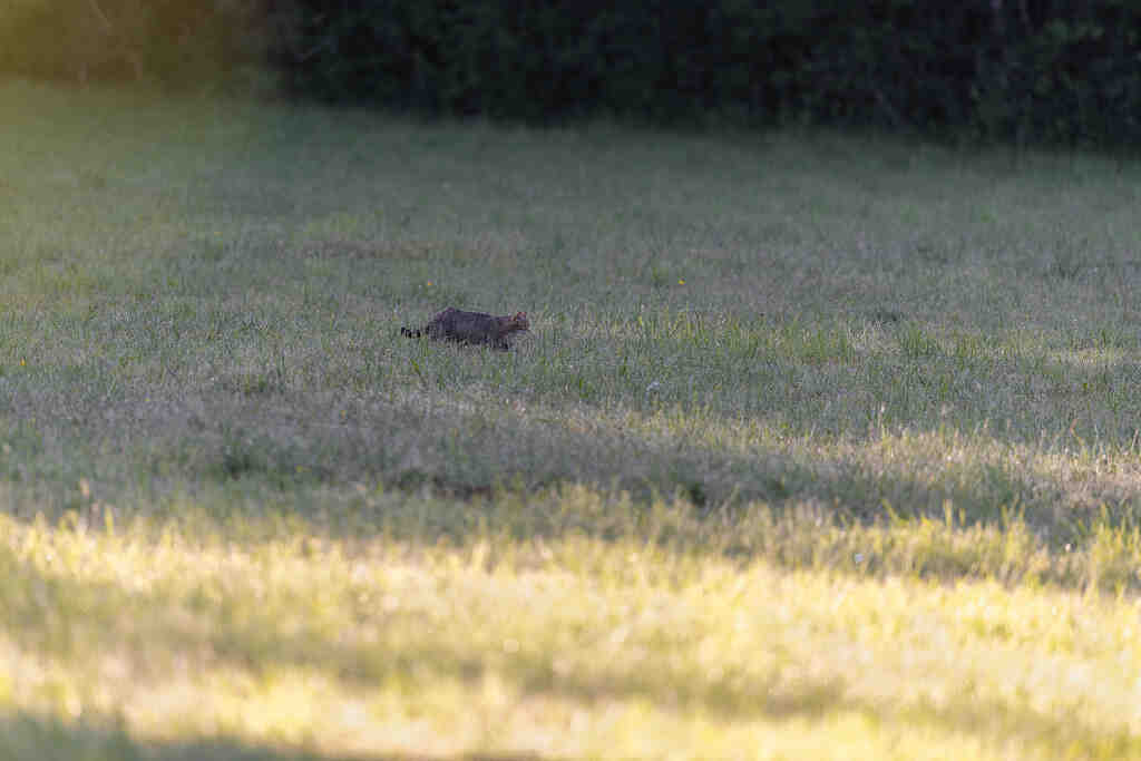 Comment obliger à dormir sur le dos ?