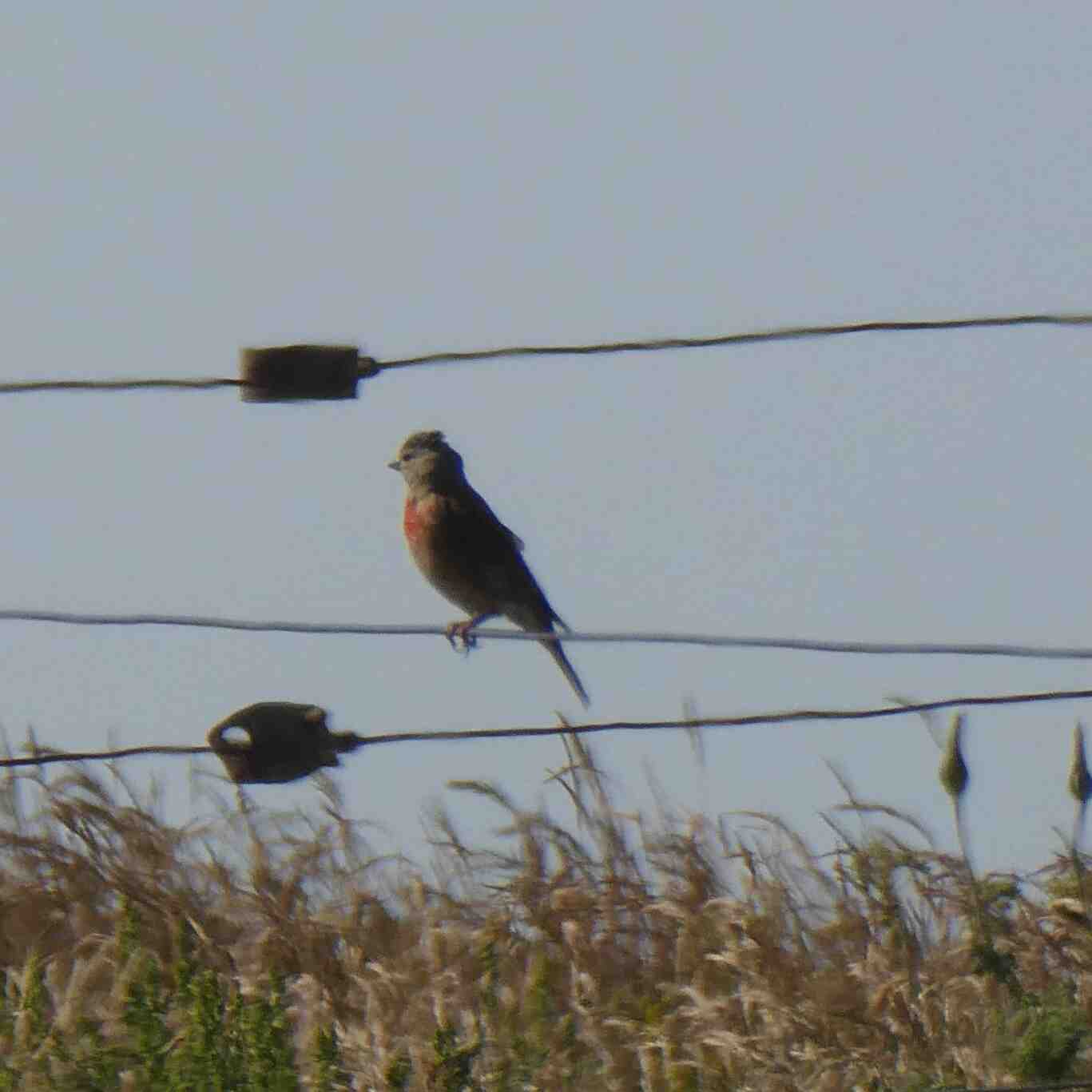 Comment on fait pour avoir un plâtre ?