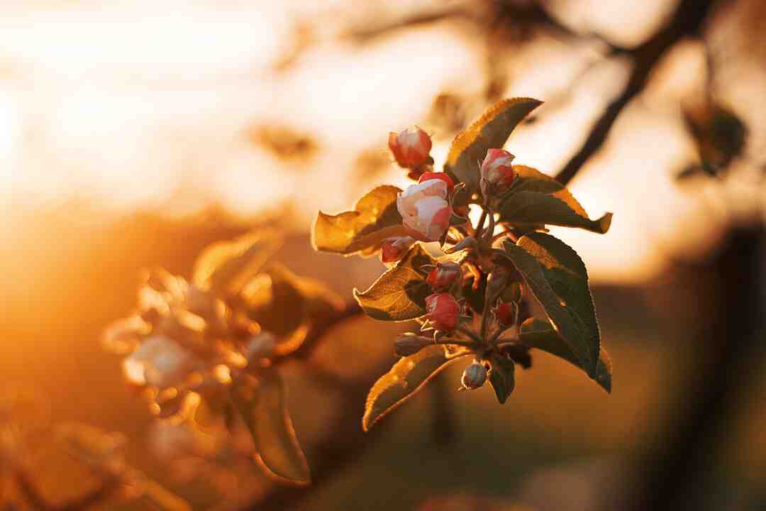 Comment perdre 5 kilos en 4 jours ?