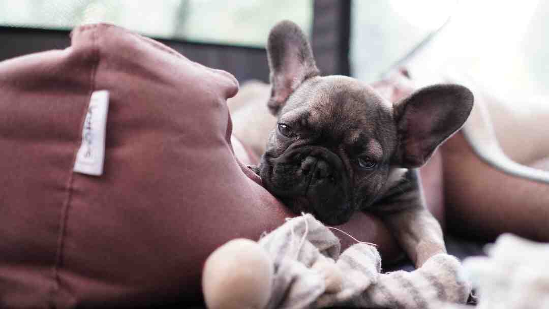 Comment perdre 9 kilos rapidement ?