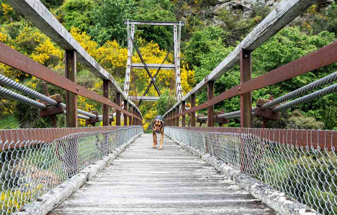 Comment perdre du ventre en 1 semaine sans sport ?