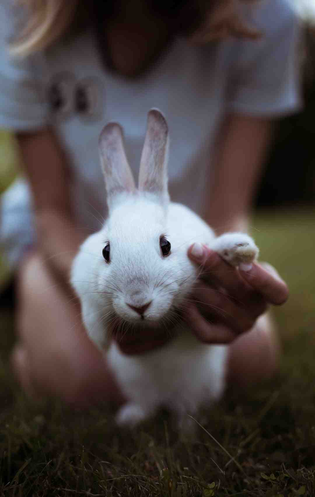 Comment plier une grande serviette de bain pour gagner de la place ?