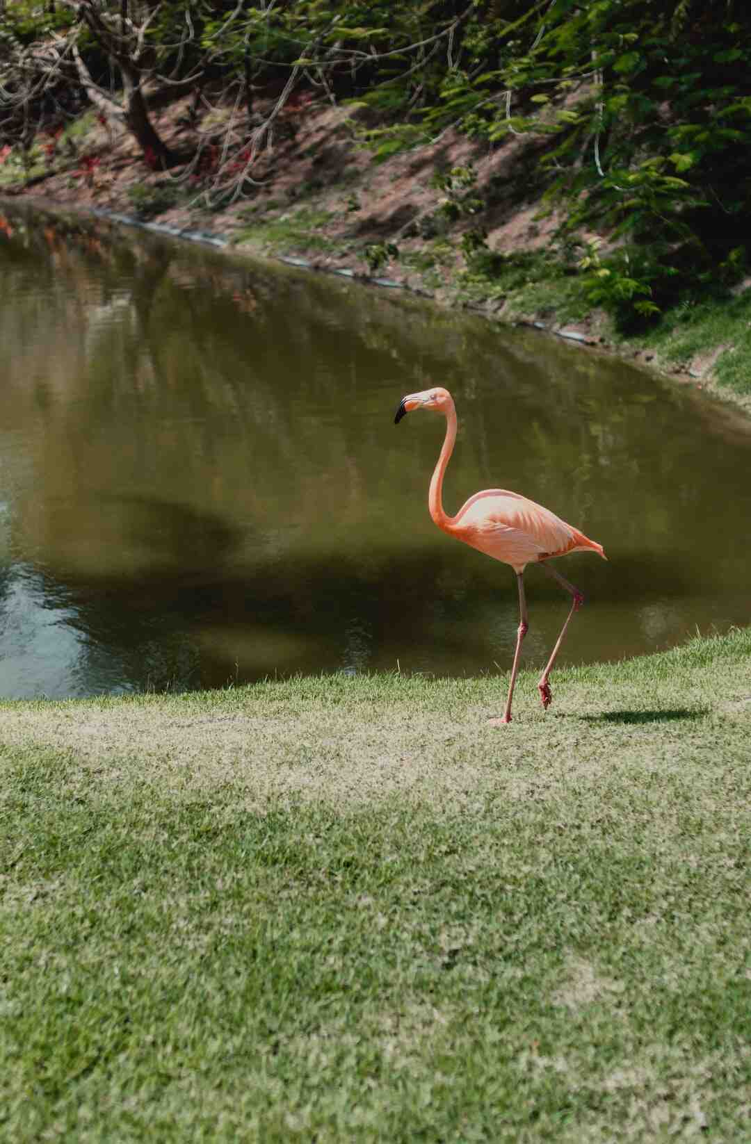 Comment plier une serviette de table simple ?