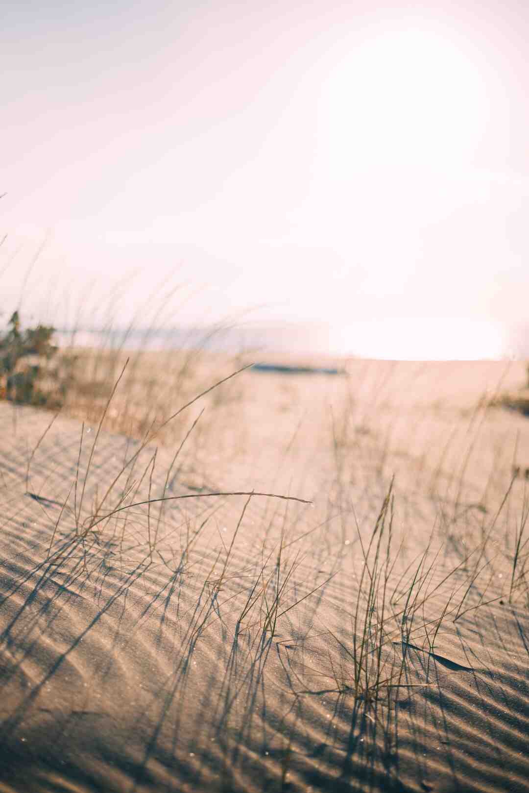 Comment poncer un mur neuf avant peinture ?