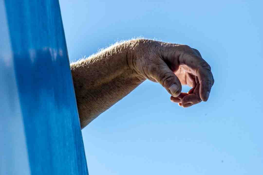 Comment préparer l'aloe vera frais ?