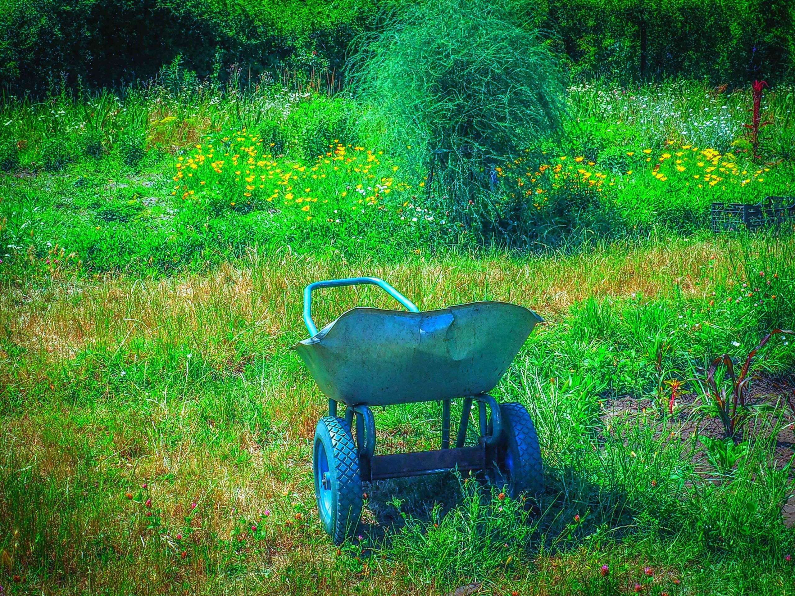 Comment se forcer à manger moins ?