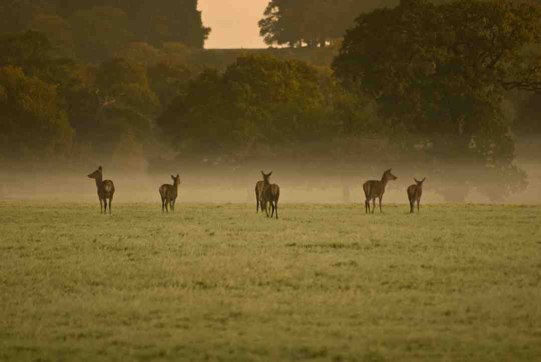 Comment soulager les douleurs d'une sciatique en 60 secondes ?