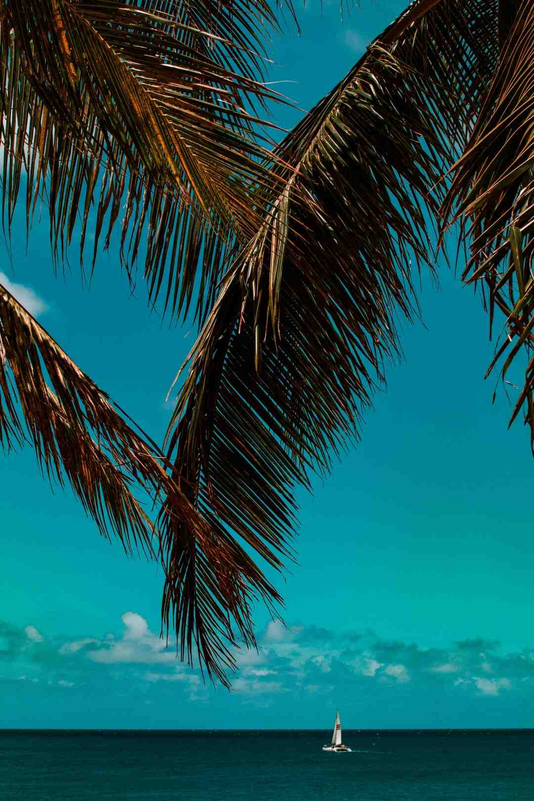 Est-ce que le VPN est gratuit ?