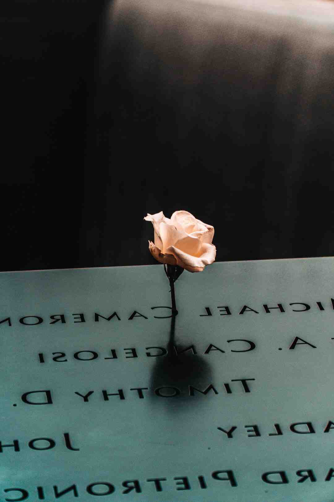 Est-ce que le Vietnam est qualifié pour la Coupe du Monde ?