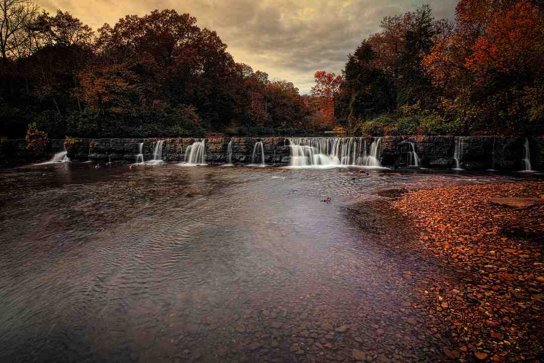 Est-ce que le fromage de chèvre ça fait grossir ?