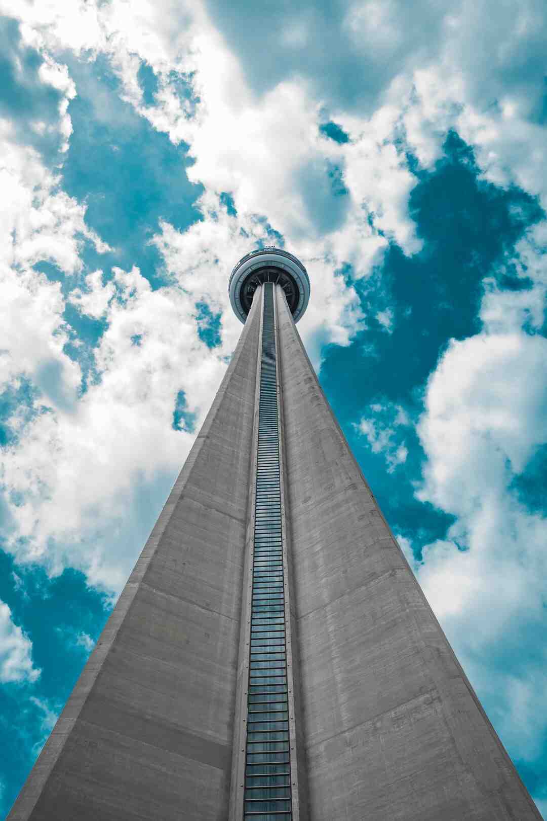 Est-ce que le riz est bon pour le cholestérol ?
