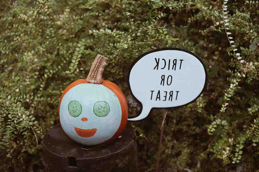 Est-ce que les moucherons se transforme en mouche ?